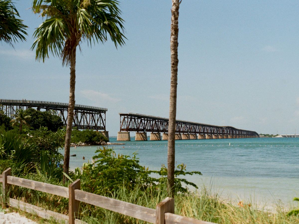 A coastal view with palm trees, a wooden fence, and an old, elevated railway bridge stretching over the water.